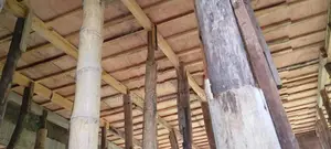 සැටලිම