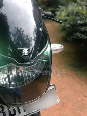 Bajaj Pulsar 180 2016