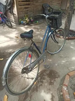 Ladies Cycle