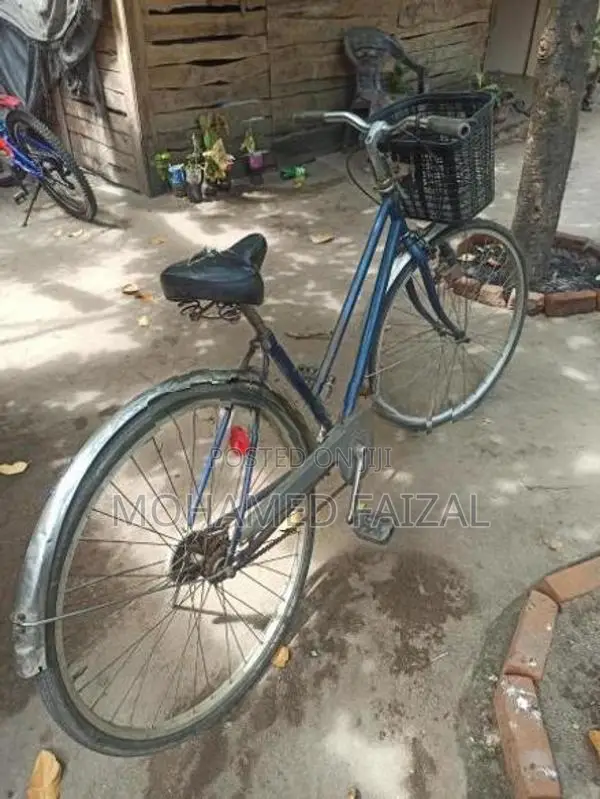 Ladies Cycle