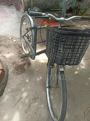 Ladies Cycle