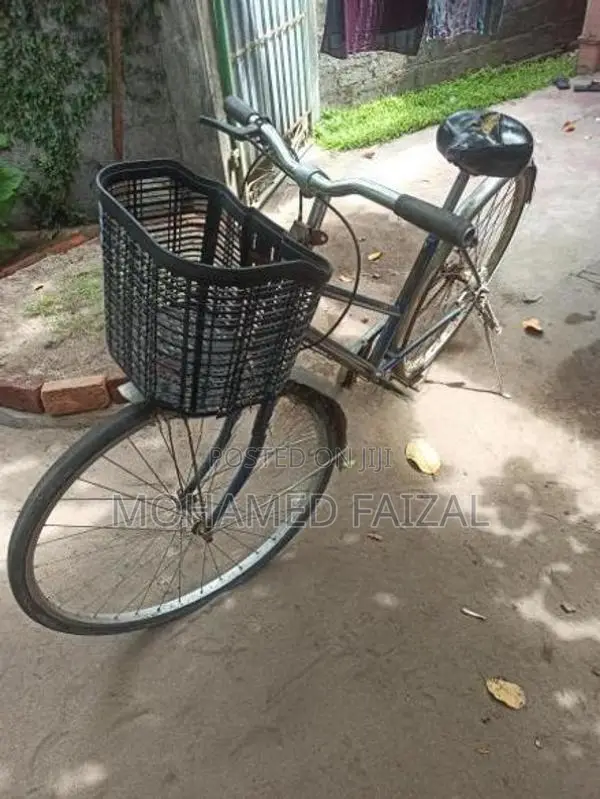 Ladies Cycle