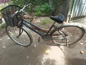 Ladies Cycle
