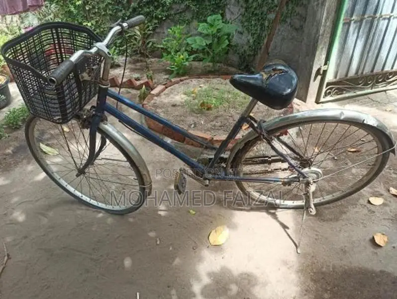 Ladies Cycle