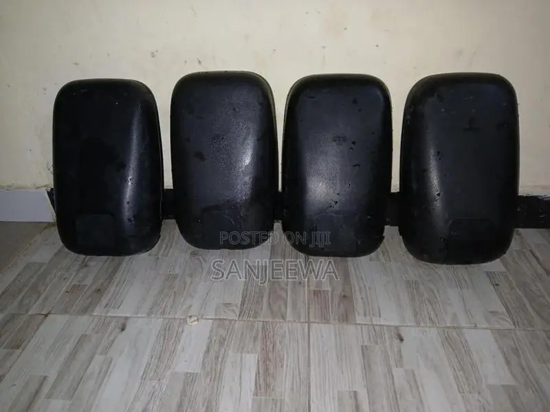 Isuzu Mirror