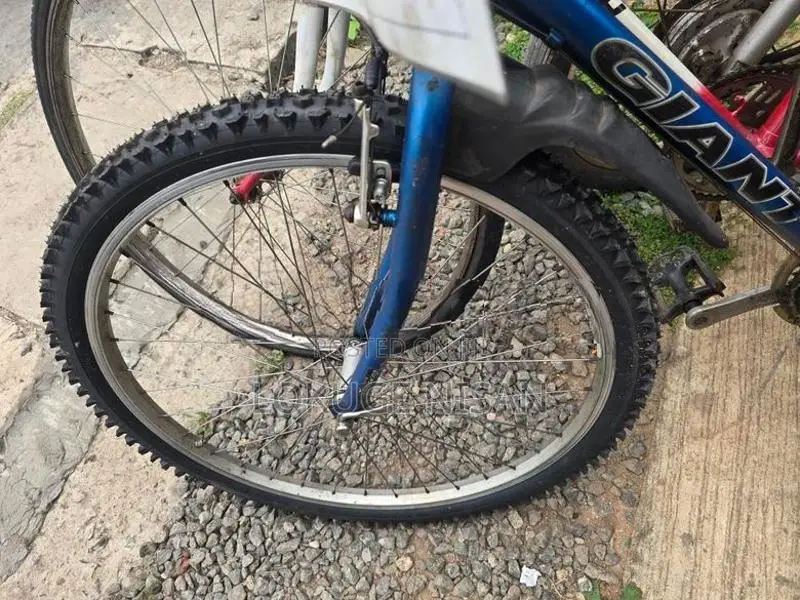 Mountain Bike