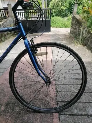Japan Bike