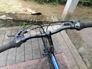 Japan Bike