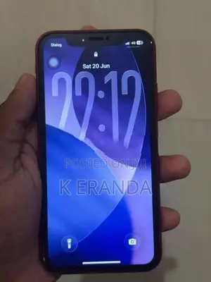 Apple iPhone 11 (Used)