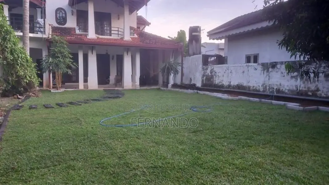 Malasiyan Carpet Grass