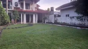 Malasiyan Carpet Grass