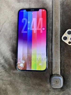 Apple iPhone 12 Pro Max (Used)