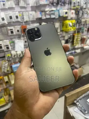 Apple iPhone 12 Pro Max (Used)