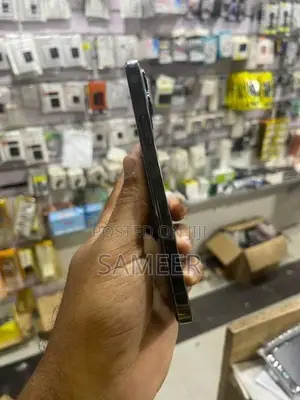 Apple iPhone 12 Pro Max (Used)