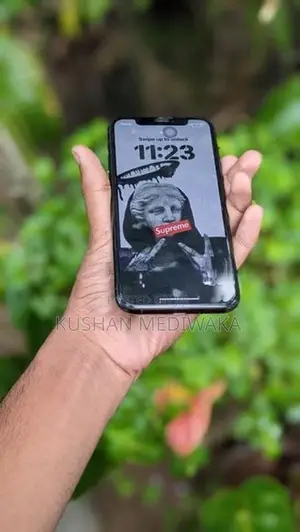 Apple iPhone 11 Pro 256GB (Used)