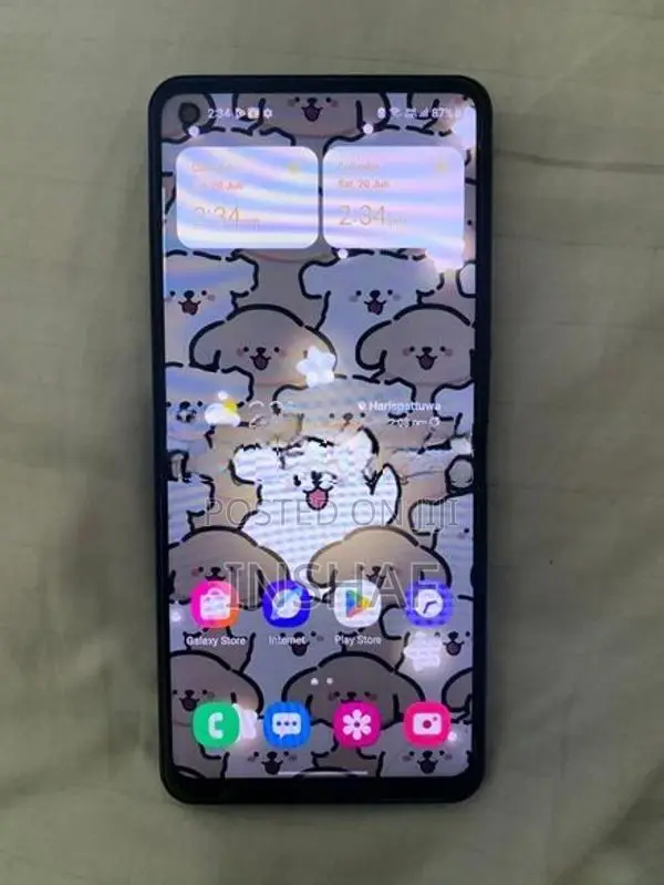 Samsung Galaxy A21s (Used)