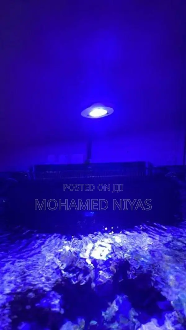 Led Light