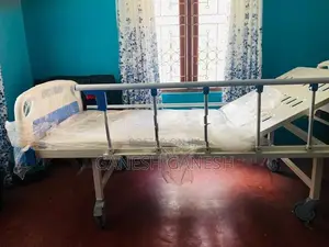 Two Function Manual Hospital Bed