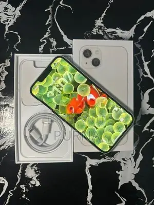Apple iPhone 13 (Used)