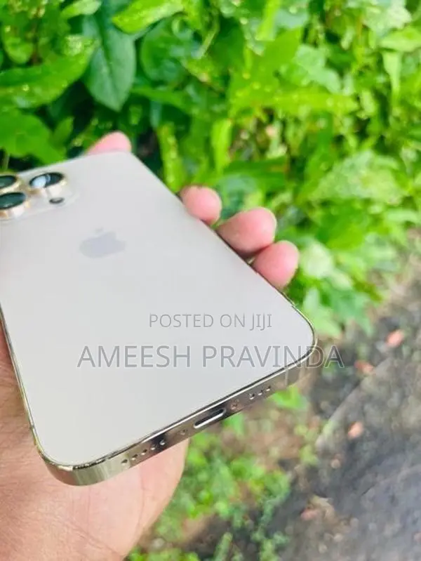 Apple iPhone 13 Pro (Used)
