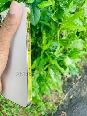 Apple iPhone 13 Pro (Used)