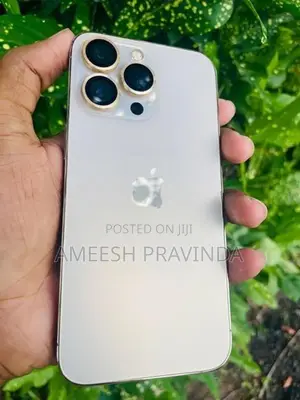 Apple iPhone 13 Pro (Used)