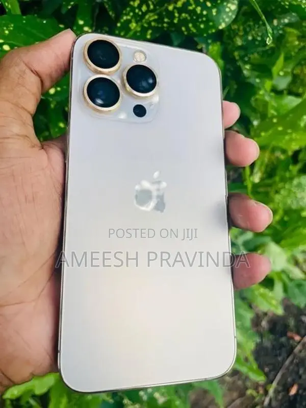 Apple iPhone 13 Pro (Used)