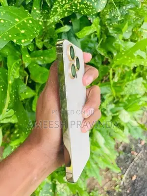 Apple iPhone 13 Pro (Used)