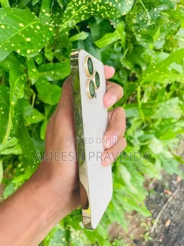 Apple iPhone 13 Pro (Used)