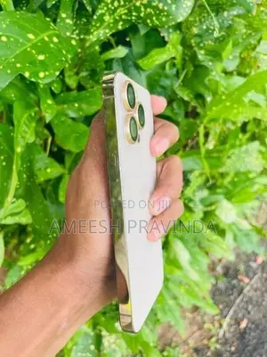 Apple iPhone 13 Pro (Used)