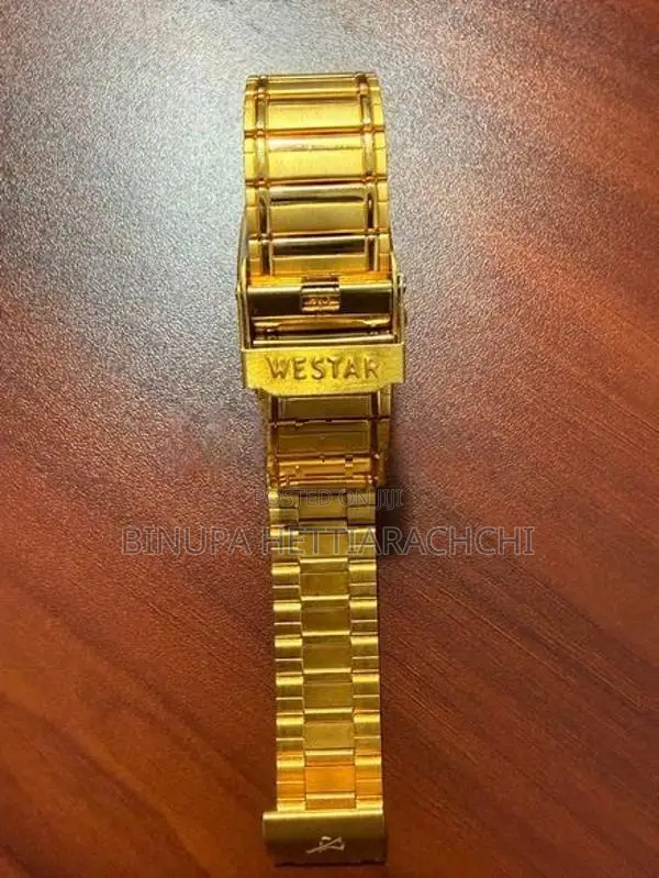 Westar Swiss Eb Men’s Wrist Watch