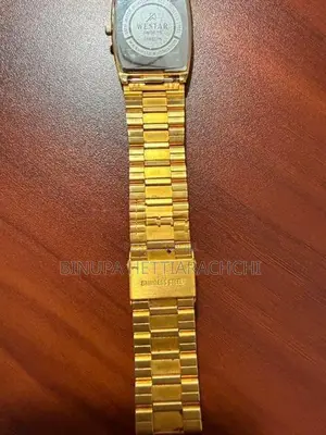 Westar Swiss Eb Men’s Wrist Watch