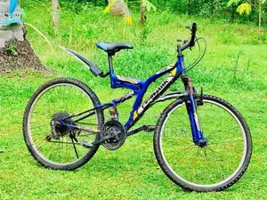 Tomahawk Mountain Bicycle