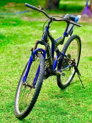 Tomahawk Mountain Bicycle