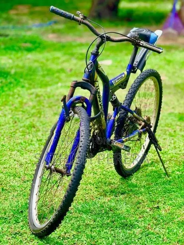 Tomahawk Mountain Bicycle