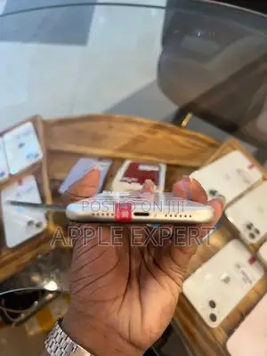Apple iPhone 11 (Used)