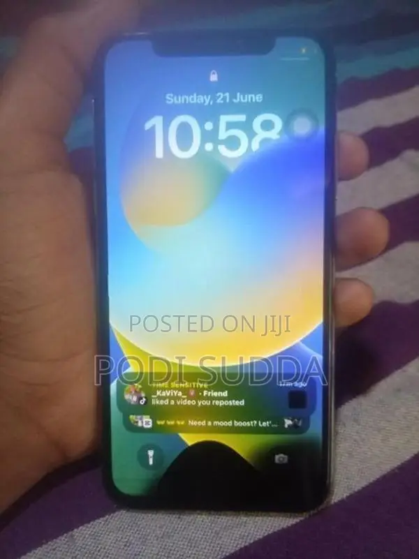 Apple iPhone X (Used)