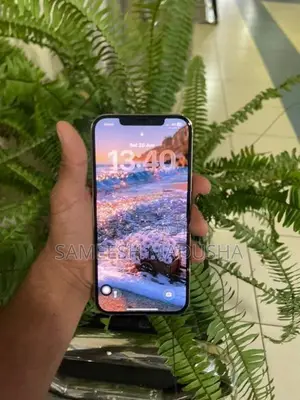 Apple iPhone 12 Pro Max (Used)