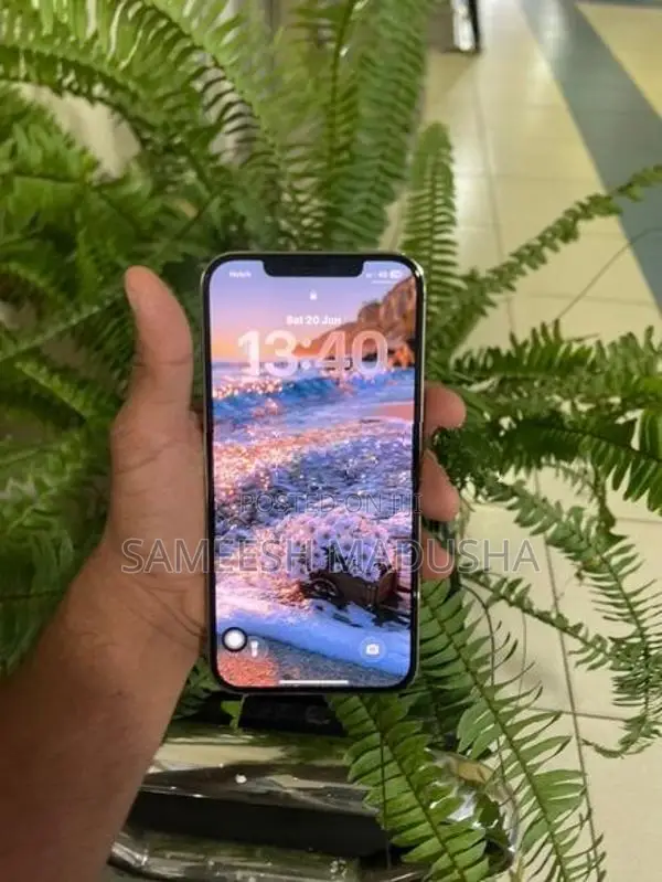 Apple iPhone 12 Pro Max (Used)