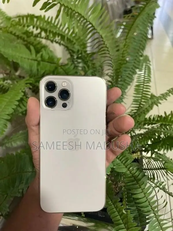 Apple iPhone 12 Pro Max (Used)