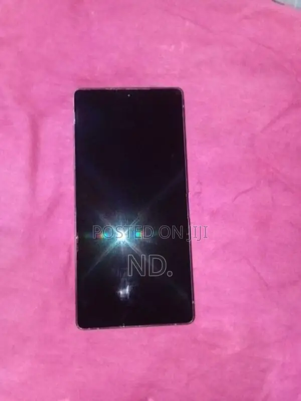 Samsung Galaxy S25 Ultra (Used)