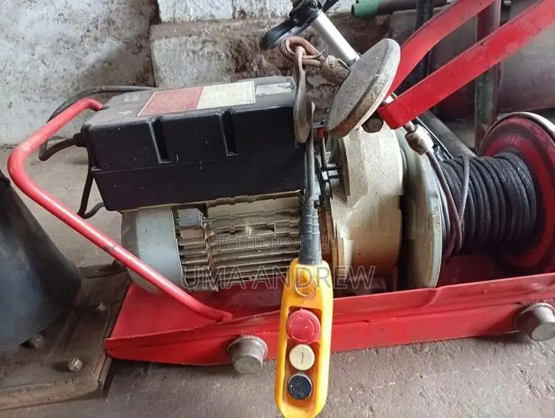 500 kg Italy type hoist for sale