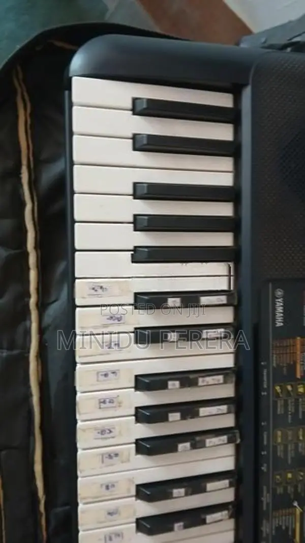 Yamaha Organ