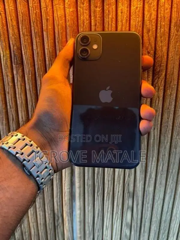 Apple iPhone 11 256GB (Used)