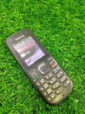 Nokia 1010 (Used)