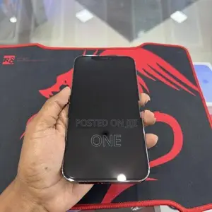 Apple iPhone 12 Pro Max (Used)