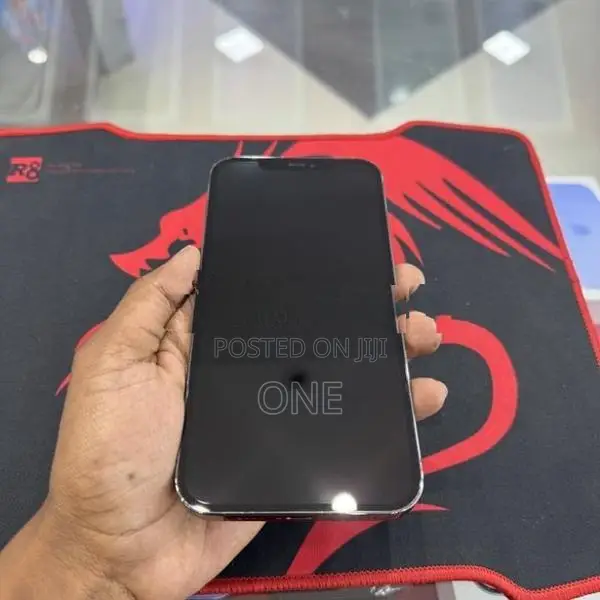 Apple iPhone 12 Pro Max (Used)