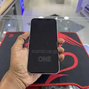 Apple iPhone 12 (Used)