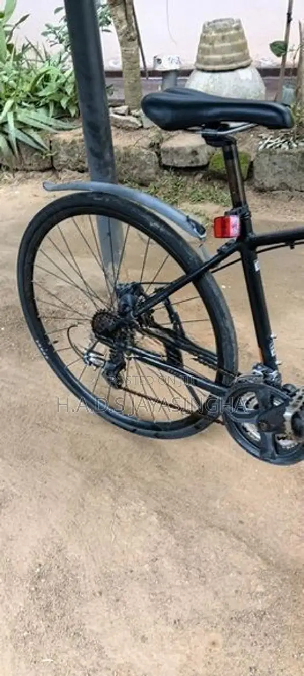 Hybrid bicycle