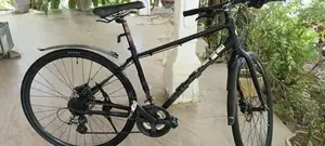 Hybrid bicycle